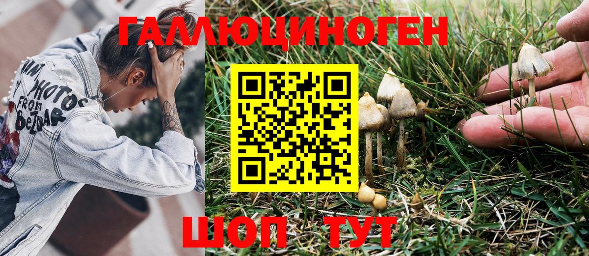 Галлюциногенные грибы MAGIC MUSHROOMS Нефтеюганск